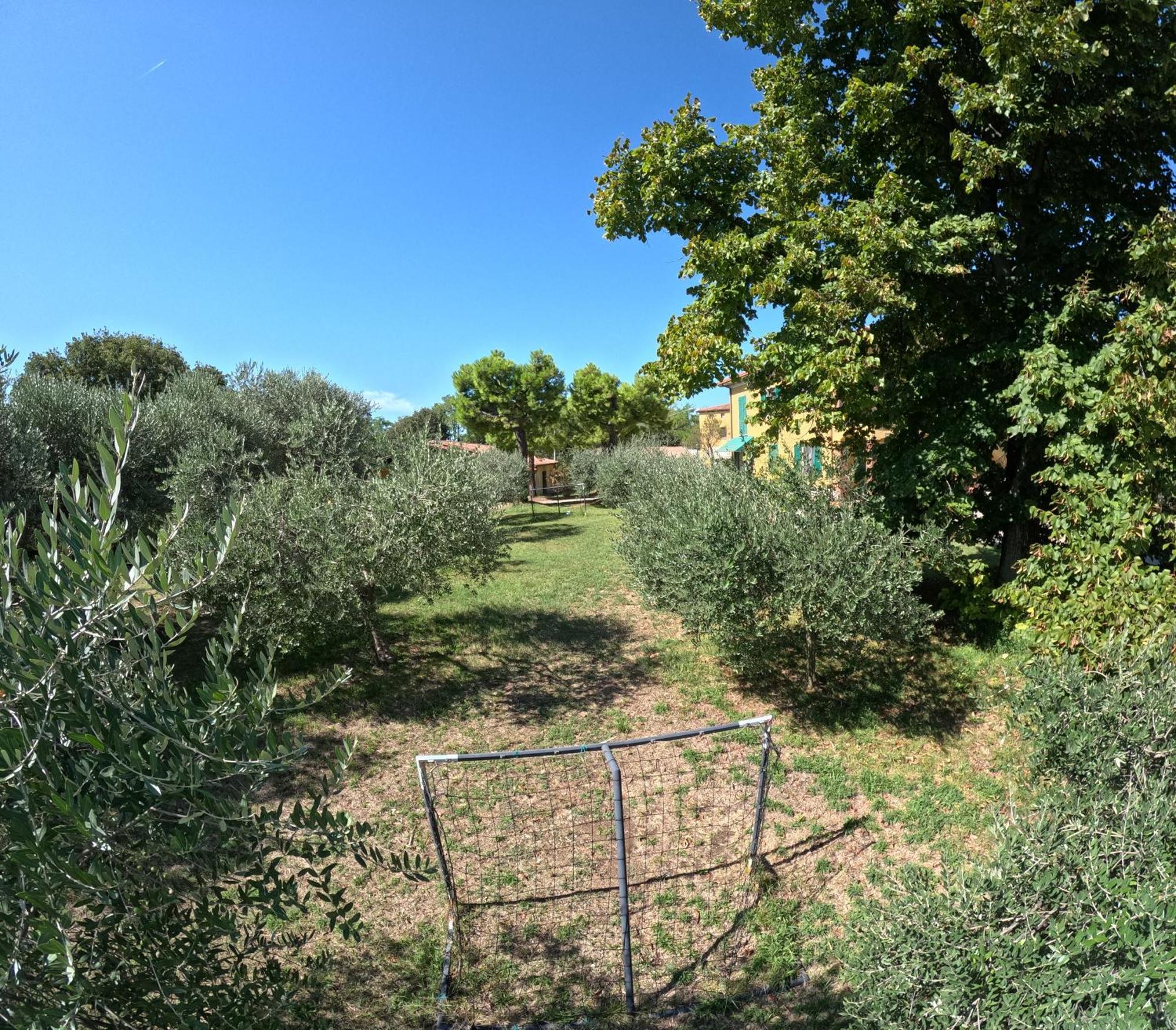 Agriturismo Gardenali Вольта-Мантована Экстерьер фото