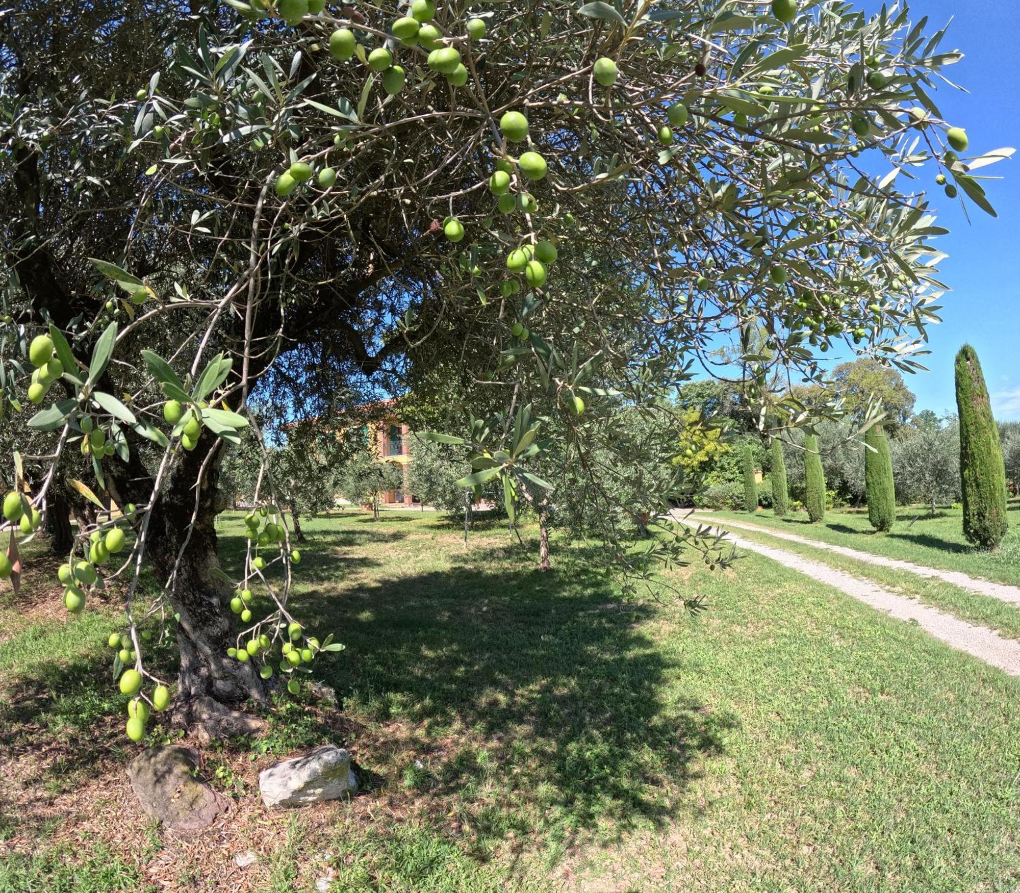Agriturismo Gardenali Вольта-Мантована Экстерьер фото