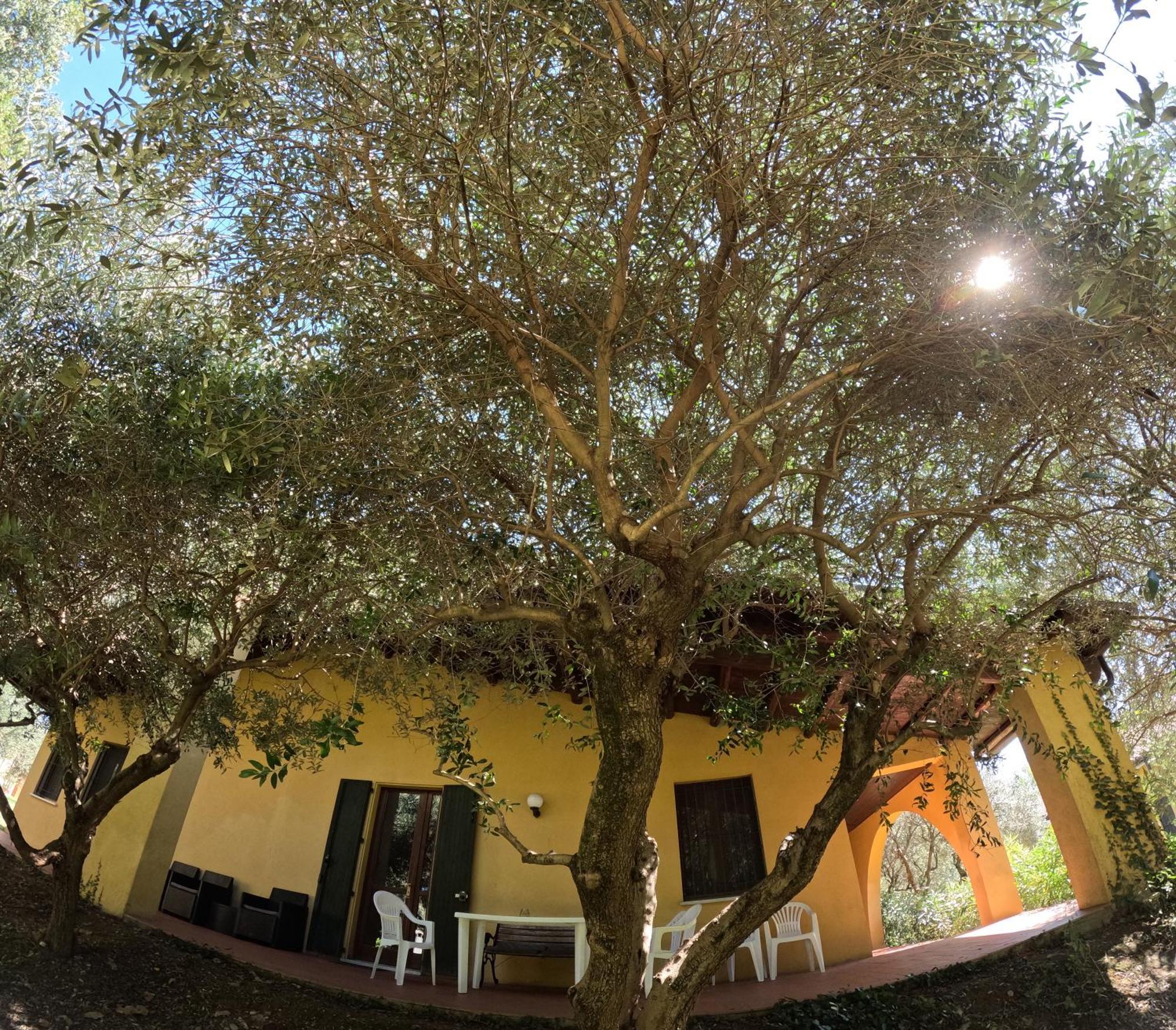 Agriturismo Gardenali Вольта-Мантована Номер фото